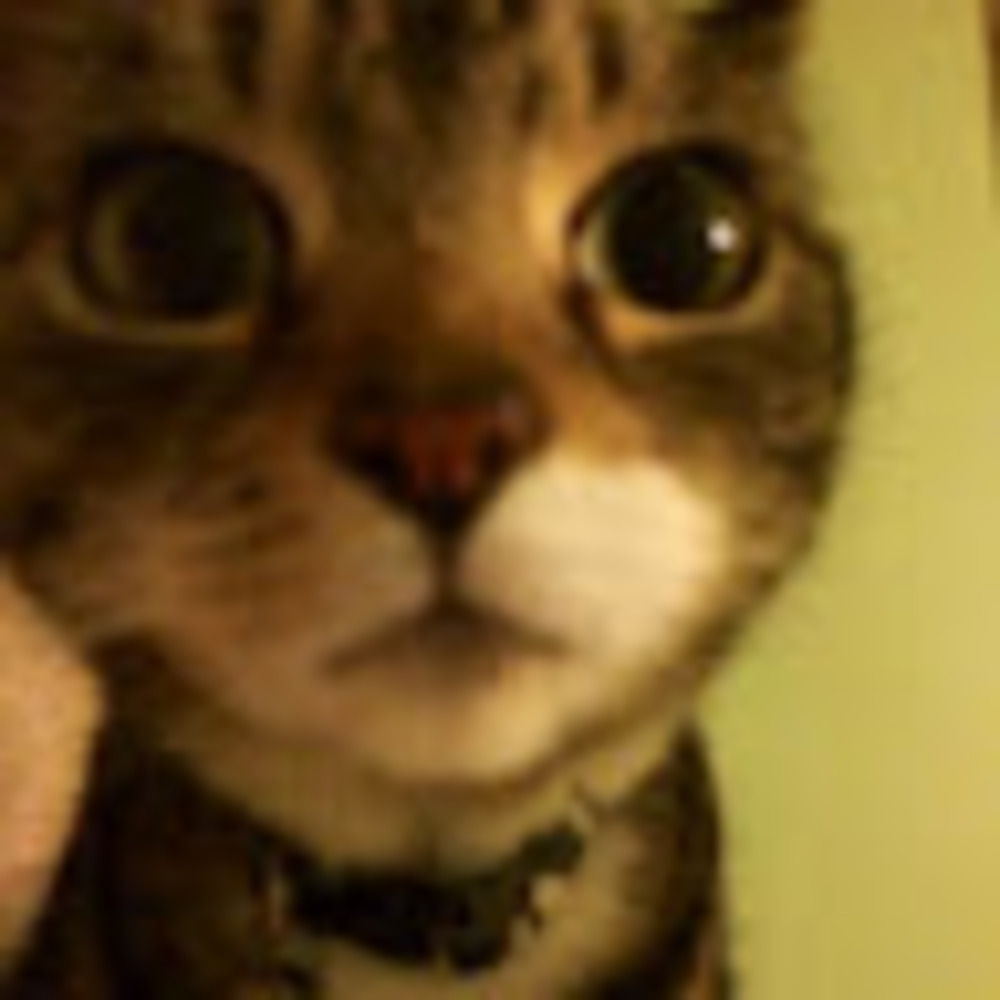 Meet your Posher, Salem